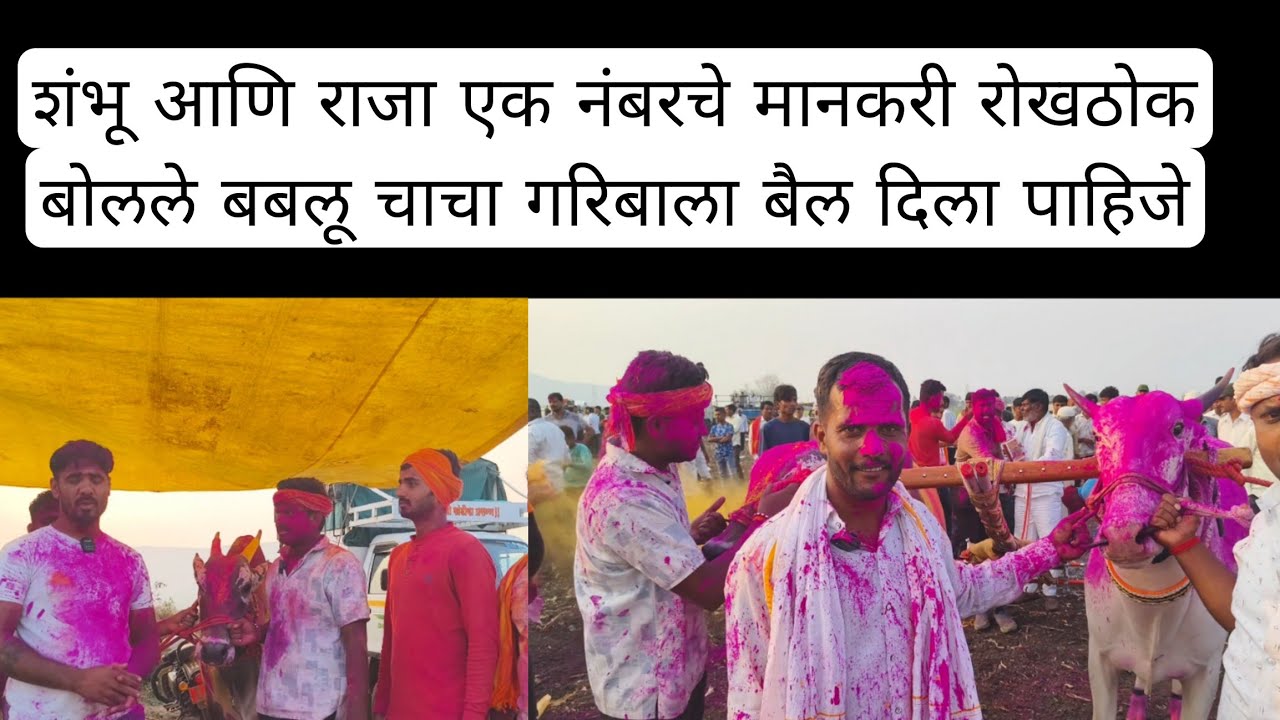 बबलू चाचा बोलले गरिबांना बैल द्या