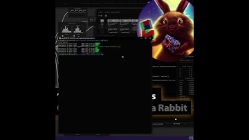 Rabbit School 1 - Booting Data Rabbit up!