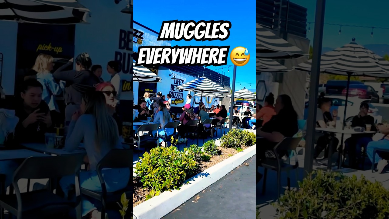 Would you search for this with muggles surrounding the Geocache, or come back later? 💀