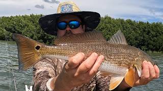 The Shallow Water Redfish Trick No One Talks About
