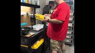 Clutch 5 ball python eggs pull. Wealth