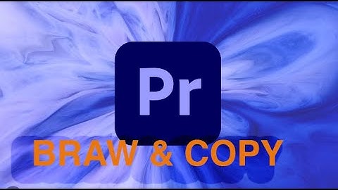 PREMIERE PRO BRAW LUT AND COPY LUT