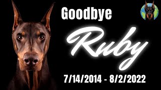 The Ruby Tribute—Farewell to a Doberman Legend (RubyDooby_Do) Wealth