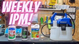 Beginner Growers Guide= IPM WEEKLY