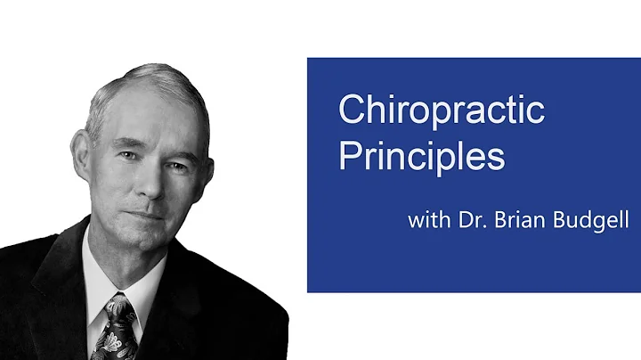 Chiropractic Principles: Management of Somatovisce...