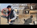 25000 ki shart kabuttar chorne pr 😱vlog-1
