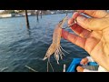 Pesca con CAMARÓN VIVO en MINI Lancha