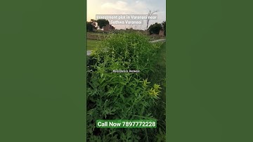 Cheap Plot in Varanasi #varanasiproperty #plotinvaranasi #plotinsarnath #varanasimeplot
