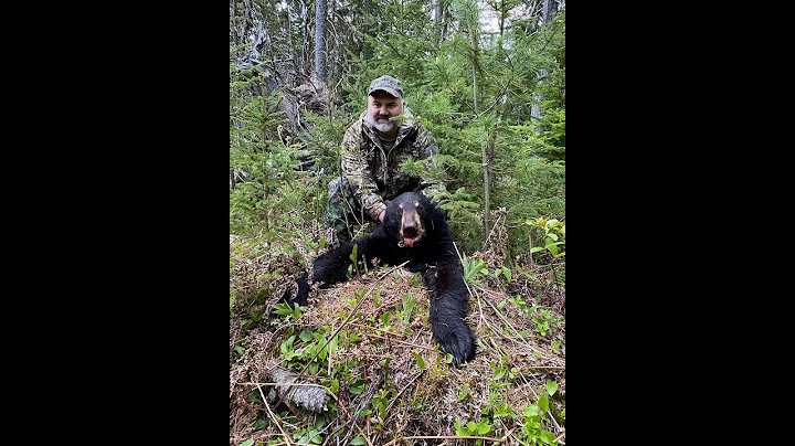 New Brunswick Black Bear Hunt 2022