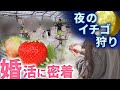 婚活に密着　出生率の低い福岡・糸島市　本気の婚活事業　入会金・成婚報酬無料のワケ