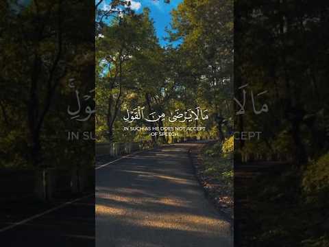 Surah An-Nisaa | Verses 108 | #subscribe #pmk_tv #hearttouching #quran