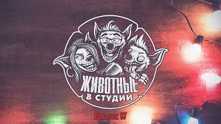 Подкаст «Животные в Cтудии». Выпуск 87. Праздник к нам приходит ver.2018 Подкаст «Животные в Cтудии». Выпуск 87. Праздник к нам приходит ver.2018