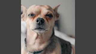 Celebrity Emma Pooped Her Pants Song Profile