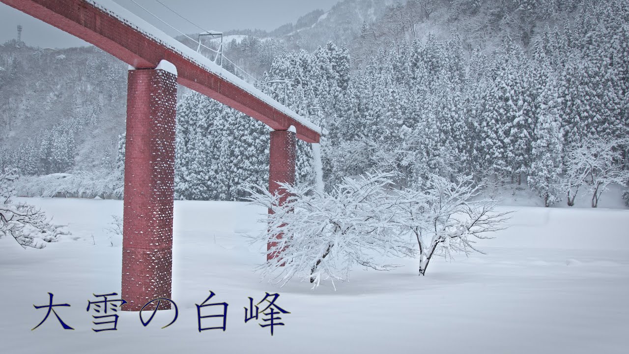 大雪の白峰 : Walking Around the heavy snow of Shiramine（Ishikawa, Japan）