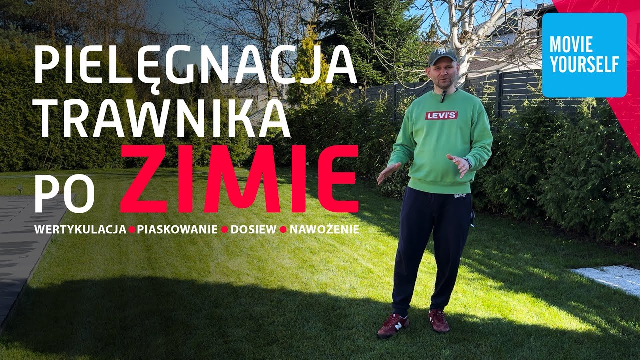 Pielęgnacja trawnika po ZIMIE 