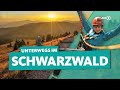 Der schwarzwald wandern ziplining camping und die kirschtorte  ard reisen