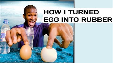 Egg Shell Science Experiment -Dissolves in Vinegar