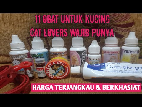 Video: Jenis Obat Kecemasan Untuk Kucing