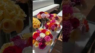 NEW YOU WHITE AFFAIR DAY EVENT 2024 New You Cosmetic Centres