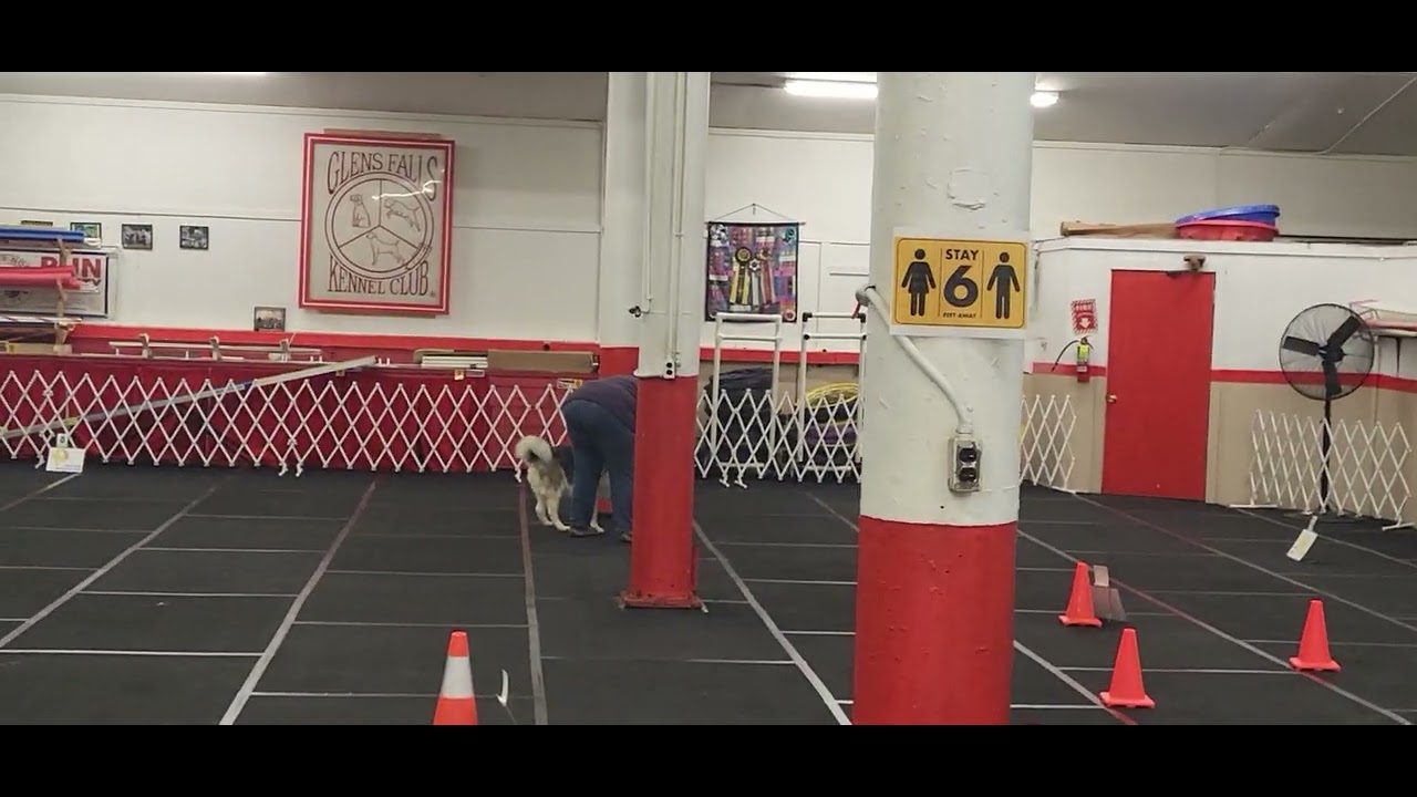 Nova AKC Rally Nov A Nov 15, 2025 Q