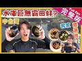 【中台灣 】台中苗栗 山林野行｜水庫抓大頭鰱/肥美炸全鴨/薑種發源地/雪山下學馬術/客家炸湯圓《世界第一等》995集完整版