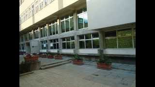 English Access Microscholarship Program - Summer Camp 2013. [Directed by Eldin Mehmedović]