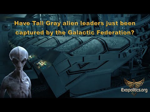 Have Tall Gray alien leaders just been captured by the Galactic Federation?