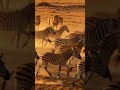 🦓 “Why Zebras Have Stripes” | AniFacts