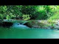 Waterfall Sounds No Music – Best White Noise for Light Sleepers