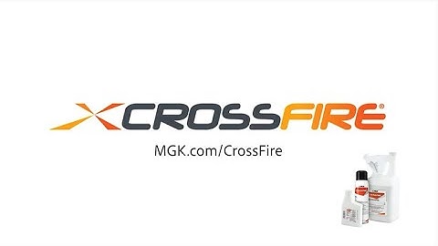 What will you do when there