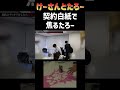 契約白紙で顔面蒼白　けーさんとたろー【まとめ】 #shorts