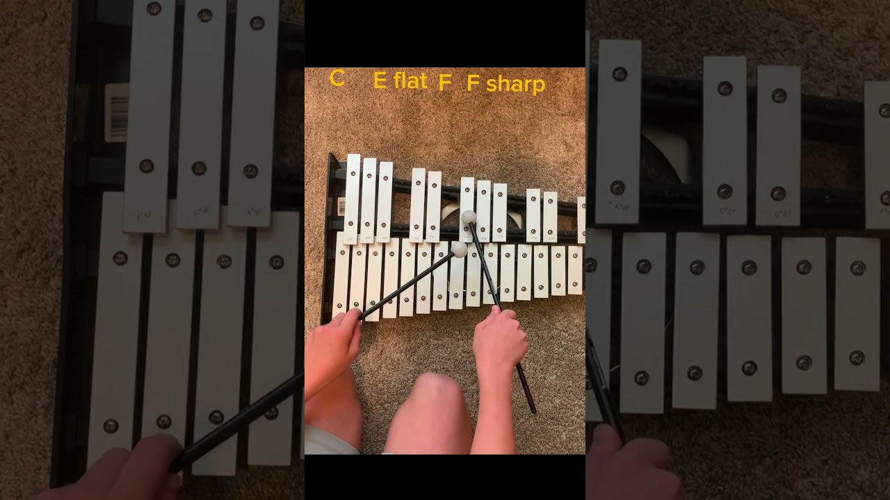 How to play Among Us Drip on xylophone/bells