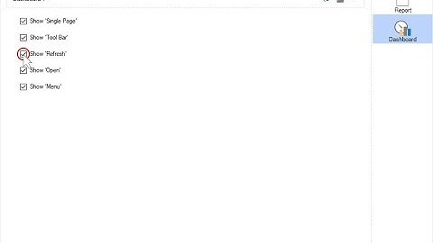 WinForms Dashboard: Changing Dashboard Preview Settings [Shot on v2019]