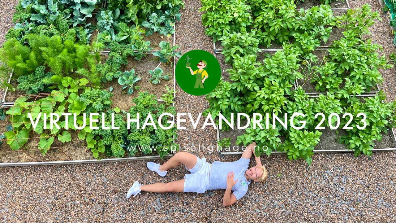 Virtuell hagevandring - Kjøkkenhagen 2023