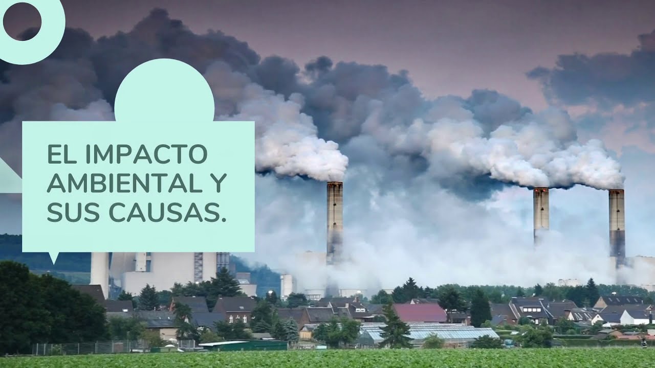 El Impacto Ambiental Y Sus Causas Youtube