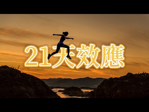 21天效應:培養一個新的好習慣只需21天 |《歪。短篇》第10集