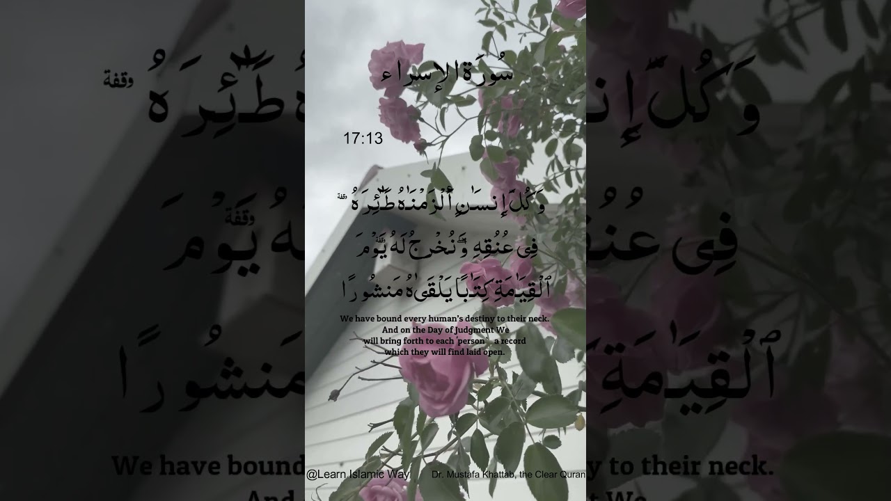 Al-Isra Surah Ayat No 17 : 13 14 Arabic | سورۃ الإسراء With English Translation  #quran #allah #yts
