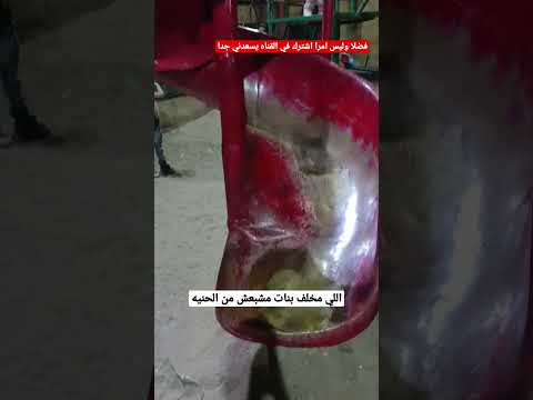 اللي مخلفش مشبعش من الحنيه