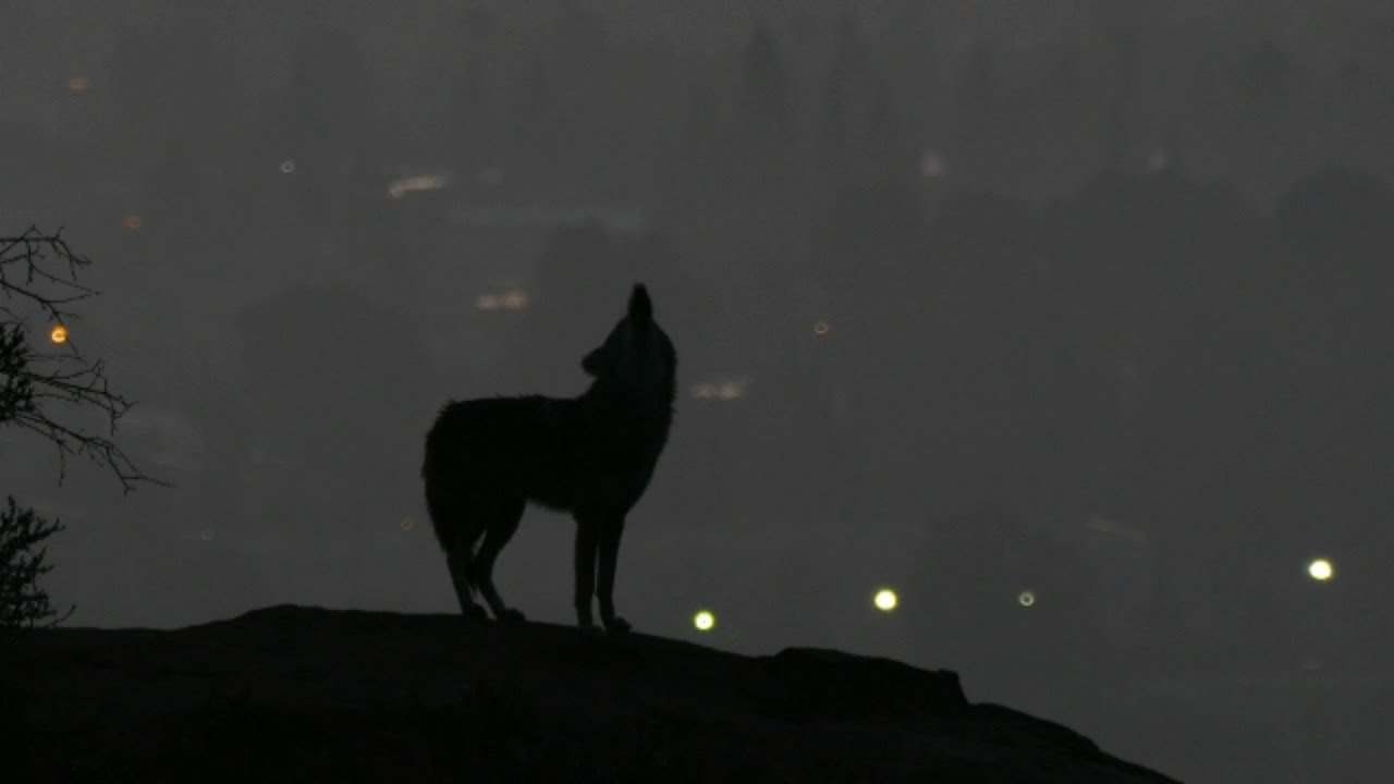 在 YouTube 上观看 Birds, Bewildered (Official Lyric Video) by The Choir 在 YouTube 上观看 Birds, Bewildered (Official Lyric Video) by The Choir