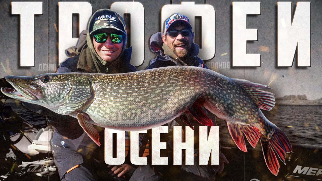 Трофейная рыбалка на щуку и окуня осенью. - YouTube