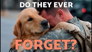 HOW LONG Does it TAKE a DOG to FORGET their OWNER 🤔 (Dogs and Emotional Memory)