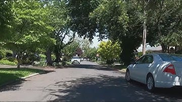 Portland expands tree-planting efforts to bring more shade to residents