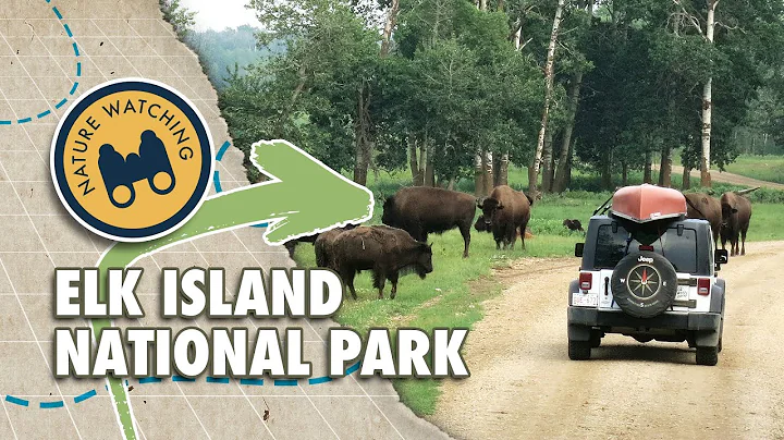 Things to do in Alberta -  Elk Island National Park