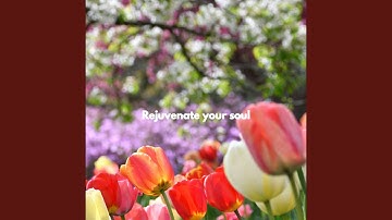 Astonishing Backdrops for Brave Keynotes