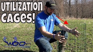 UTILIZATION CAGES FOR CLOVER FOOD PLOTS FOR DEER!!! *BROWSE PRESSURE**