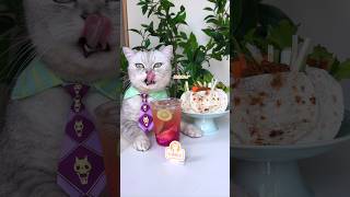 🥞Want To Try The Most Delicious Pancakes Ever?🤤 #Catsofyoutube  #Tiktok #Shorts