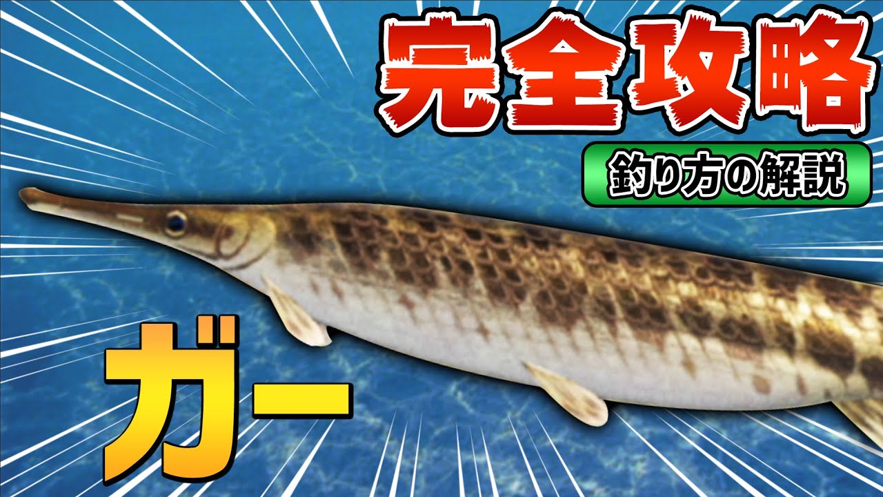 あつ森 ガーの魚影 出現条件 釣り方のコツ徹底解説 図鑑付き Youtube