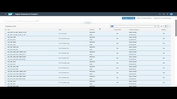 How to transport Form Customization in SAP FIORI 1