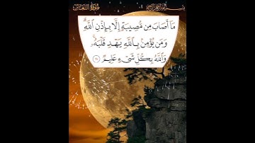 سورة التغابن الآية ( 11 )