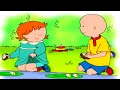 Caillou et le piquenique  caillou en franais